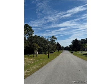 Build your dream home in the desirable Southern Woods a deed on Southern Woods Golf Club in Florida - for sale on GolfHomes.com, golf home, golf lot