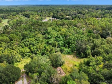 Prime Commercial Land - 7.09 Acres in Sugarmill Woods on Sugarmill Woods Golf and Country Club in Florida - for sale on GolfHomes.com, golf home, golf lot