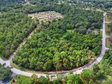 Prime Commercial Land - 7.09 Acres in Sugarmill Woods on Sugarmill Woods Golf and Country Club in Florida - for sale on GolfHomes.com, golf home, golf lot