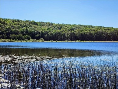 This South-facing lake lot is situated on Upper Waterman, the on Cumberland Golf Club in Wisconsin - for sale on GolfHomes.com, golf home, golf lot