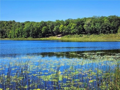 This South-facing lake lot is situated on Upper Waterman, the on Cumberland Golf Club in Wisconsin - for sale on GolfHomes.com, golf home, golf lot