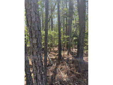 Approximately .87 acre lot in the Monticello section of Savannah on Monticello Golf Club At Savannah Lakes in South Carolina - for sale on GolfHomes.com, golf home, golf lot