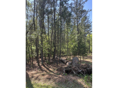 Approximately .87 acre lot in the Monticello section of Savannah on Monticello Golf Club At Savannah Lakes in South Carolina - for sale on GolfHomes.com, golf home, golf lot