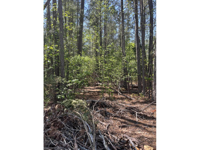 Approximately .87 acre lot in the Monticello section of Savannah on Monticello Golf Club At Savannah Lakes in South Carolina - for sale on GolfHomes.com, golf home, golf lot