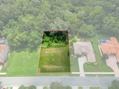 Discover the perfect canvas for your dream home in this on Lake Jovita Golf and Country Club in Florida - for sale on GolfHomes.com, golf home, golf lot