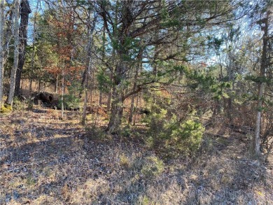 A perfect slightly uphill lot on a quiet street that is just a on Holiday Island Executive Golf Course in Arkansas - for sale on GolfHomes.com, golf home, golf lot