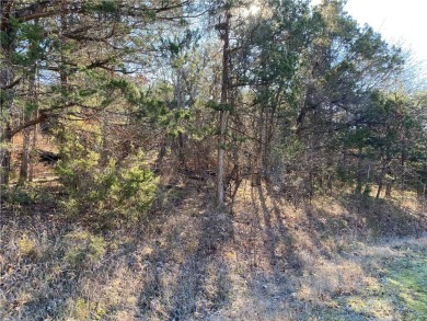 A perfect slightly uphill lot on a quiet street that is just a on Holiday Island Executive Golf Course in Arkansas - for sale on GolfHomes.com, golf home, golf lot