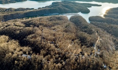 Beautiful furnished custom home with guest house in the on Dale Hollow Golf Course in Tennessee - for sale on GolfHomes.com, golf home, golf lot