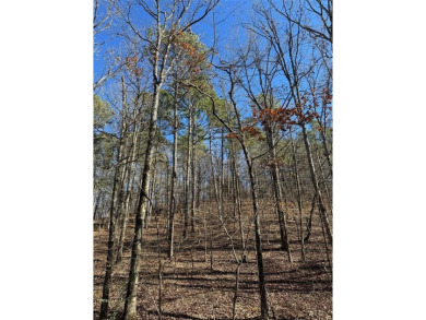 For Sale: A 1.016-acre lot in the desirable Western Hills on Cedar Creek Golf Course At Beavers Bend State Park in Oklahoma - for sale on GolfHomes.com, golf home, golf lot