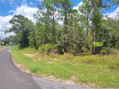 Don't miss this opportunity to own a large corner lot in the on Sugarmill Woods Golf and Country Club in Florida - for sale on GolfHomes.com, golf home, golf lot