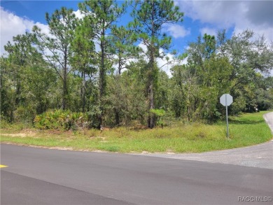Don't miss this opportunity to own a large corner lot in the on Sugarmill Woods Golf and Country Club in Florida - for sale on GolfHomes.com, golf home, golf lot