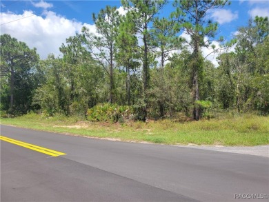Don't miss this opportunity to own a large corner lot in the on Sugarmill Woods Golf and Country Club in Florida - for sale on GolfHomes.com, golf home, golf lot