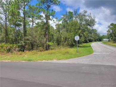 Don't miss this opportunity to own a large corner lot in the on Sugarmill Woods Golf and Country Club in Florida - for sale on GolfHomes.com, golf home, golf lot