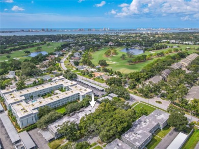 Welcome to Belleair Forest -- a charming community gracefully on Belleview Biltmore Golf Club in Florida - for sale on GolfHomes.com, golf home, golf lot