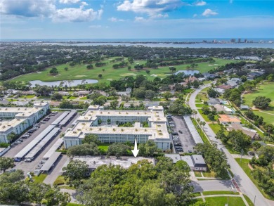 Welcome to Belleair Forest -- a charming community gracefully on Belleview Biltmore Golf Club in Florida - for sale on GolfHomes.com, golf home, golf lot