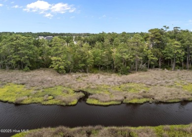 Discover the perfect blend of privacy and convenience with this on Silver Creek Golf Club in North Carolina - for sale on GolfHomes.com, golf home, golf lot
