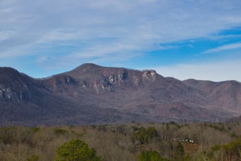 Enjoy incredible mountain views from this 1.02 acre, gently on Rumbling Bald Resort on Lake Lure in North Carolina - for sale on GolfHomes.com, golf home, golf lot