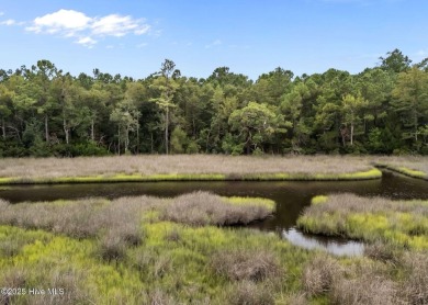 Discover the perfect blend of privacy and convenience with this on Silver Creek Golf Club in North Carolina - for sale on GolfHomes.com, golf home, golf lot