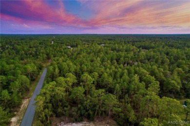 Nestled in the charming community of Citrus Springs, this on Pine Ridge Community Golf and Country Club in Florida - for sale on GolfHomes.com, golf home, golf lot