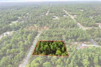 Nestled in the charming community of Citrus Springs, this on Pine Ridge Community Golf and Country Club in Florida - for sale on GolfHomes.com, golf home, golf lot