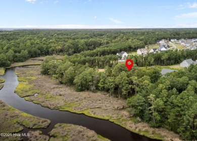 Discover the perfect blend of privacy and convenience with this on Silver Creek Golf Club in North Carolina - for sale on GolfHomes.com, golf home, golf lot