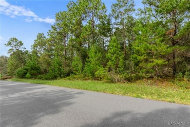 Nestled in the charming community of Citrus Springs, this on Pine Ridge Community Golf and Country Club in Florida - for sale on GolfHomes.com, golf home, golf lot
