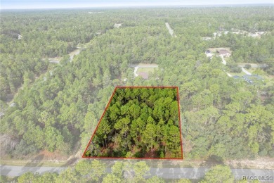 Nestled in the charming community of Citrus Springs, this on Pine Ridge Community Golf and Country Club in Florida - for sale on GolfHomes.com, golf home, golf lot