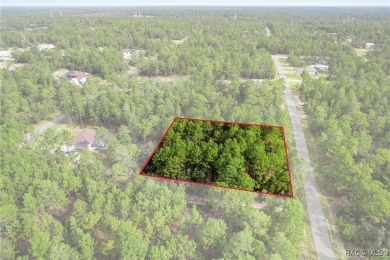 Nestled in the charming community of Citrus Springs, this on Pine Ridge Community Golf and Country Club in Florida - for sale on GolfHomes.com, golf home, golf lot