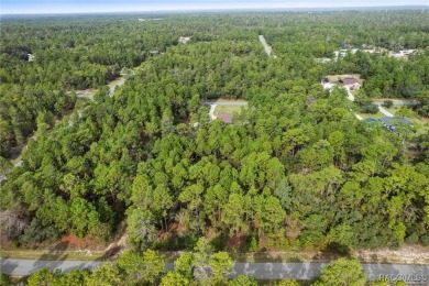 Nestled in the charming community of Citrus Springs, this on Pine Ridge Community Golf and Country Club in Florida - for sale on GolfHomes.com, golf home, golf lot