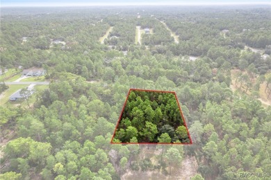 Nestled in the charming community of Citrus Springs, this on Pine Ridge Community Golf and Country Club in Florida - for sale on GolfHomes.com, golf home, golf lot