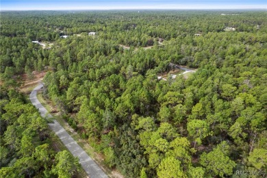 Nestled in the charming community of Citrus Springs, this on Pine Ridge Community Golf and Country Club in Florida - for sale on GolfHomes.com, golf home, golf lot
