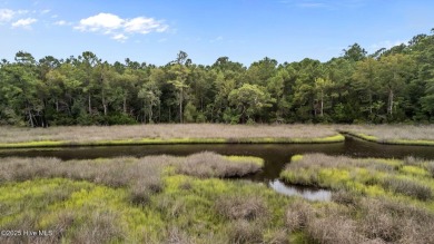 Discover the perfect blend of privacy and convenience with this on Silver Creek Golf Club in North Carolina - for sale on GolfHomes.com, golf home, golf lot