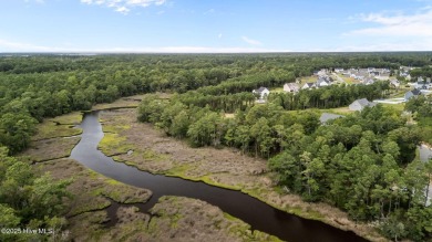 Discover the perfect blend of privacy and convenience with this on Silver Creek Golf Club in North Carolina - for sale on GolfHomes.com, golf home, golf lot