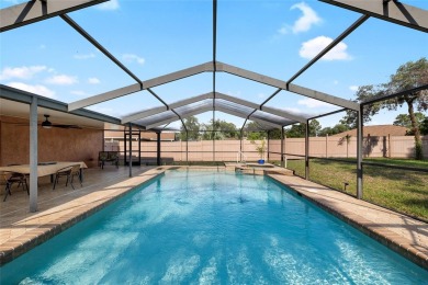 Welcome to 14128 Pomona Ave, Spring Hill, FL- (some photos on Spring Hill Golf Course in Florida - for sale on GolfHomes.com, golf home, golf lot