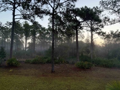 Fall in love with this move-in ready, almost brand new, 4 on St. James Bay in Florida - for sale on GolfHomes.com, golf home, golf lot