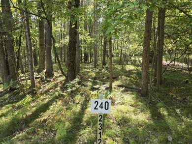 Vacant Lot - Prime Royal South Location in Canadian Lakes
 on Canadian Lakes Country Club-The Royal Course in Michigan - for sale on GolfHomes.com, golf home, golf lot