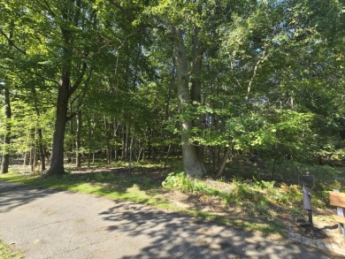 Vacant Lot - Prime Royal South Location in Canadian Lakes
 on Canadian Lakes Country Club-The Royal Course in Michigan - for sale on GolfHomes.com, golf home, golf lot