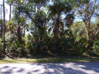 This lot is in Tropical Gulf Acres this is a great place to on Seminole Lakes Country Club in Florida - for sale on GolfHomes.com, golf home, golf lot