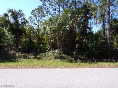 This lot is in Tropical Gulf Acres this is a great place to on Seminole Lakes Country Club in Florida - for sale on GolfHomes.com, golf home, golf lot