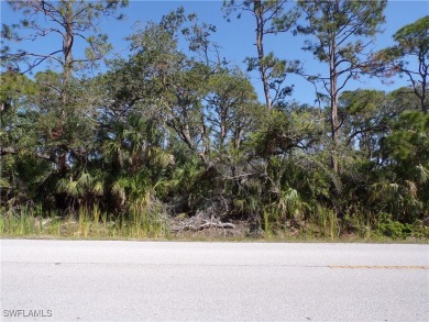 This lot is on a quiet street that would be a great place to on Sabal Trace Golf and Country Club in Florida - for sale on GolfHomes.com, golf home, golf lot