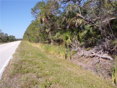 This lot is on a quiet street that would be a great place to on Sabal Trace Golf and Country Club in Florida - for sale on GolfHomes.com, golf home, golf lot