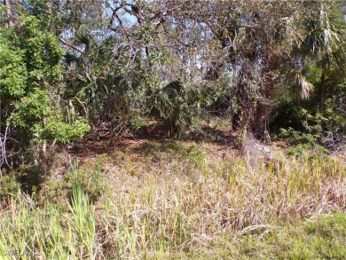 This lot is on a quiet street that would be a great place to on Sabal Trace Golf and Country Club in Florida - for sale on GolfHomes.com, golf home, golf lot