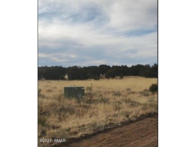 28-acre lot nestled in Concho Valley, just a stone's throw away on Concho Valley Country Club in Arizona - for sale on GolfHomes.com, golf home, golf lot