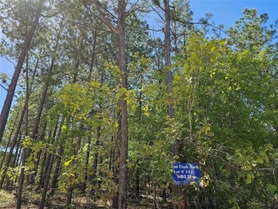 Lot 125 in Lost Creek North, nestled within the serene beauty of on Cedar Creek Golf Course At Beavers Bend State Park in Oklahoma - for sale on GolfHomes.com, golf home, golf lot