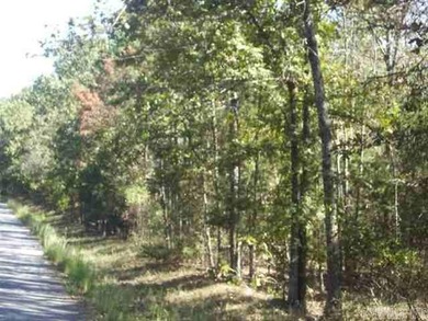 46.65 acre tract for sale on Easy Street. Once you turn on Easy on Tannenbaum Golf Club in Arkansas - for sale on GolfHomes.com, golf home, golf lot