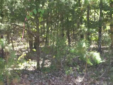 46.65 acre tract for sale on Easy Street. Once you turn on Easy on Tannenbaum Golf Club in Arkansas - for sale on GolfHomes.com, golf home, golf lot