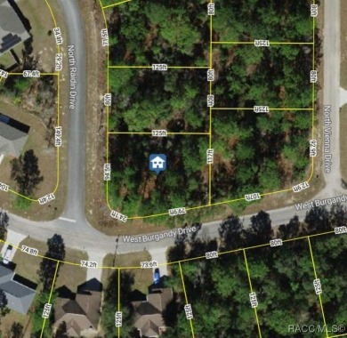 Start your next chapter in up and coming Citrus Springs. This on Pine Ridge Community Golf and Country Club in Florida - for sale on GolfHomes.com, golf home, golf lot