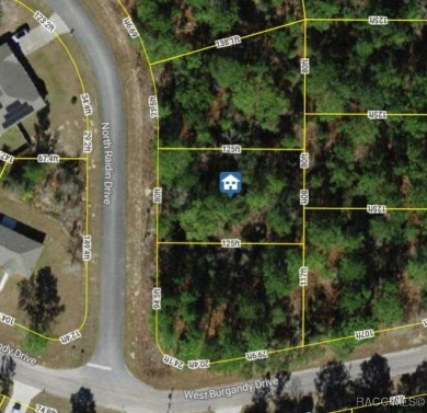 Start your next chapter in up and coming Citrus Springs. This on Pine Ridge Community Golf and Country Club in Florida - for sale on GolfHomes.com, golf home, golf lot