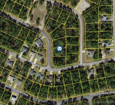 Start your next chapter in up and coming Citrus Springs. This on Pine Ridge Community Golf and Country Club in Florida - for sale on GolfHomes.com, golf home, golf lot