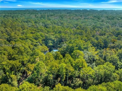 Discover the charm of Daufuskie Island with this unique .33-acre on Bloody Point Golf Course and Resort in South Carolina - for sale on GolfHomes.com, golf home, golf lot